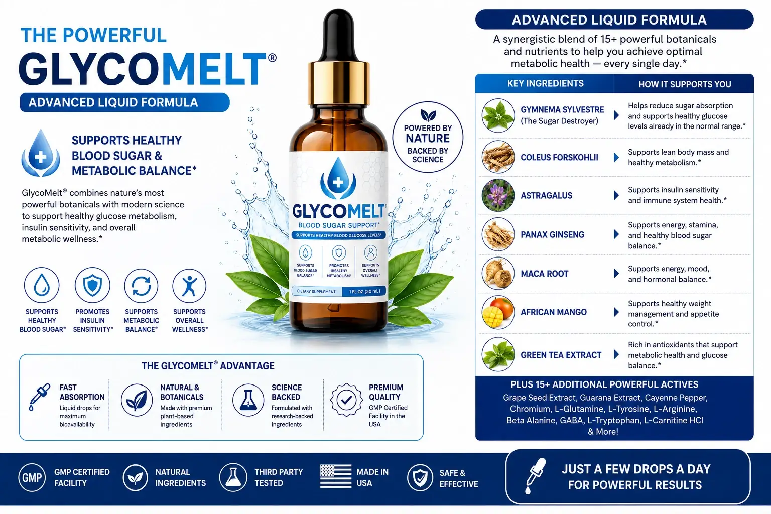 GlycoMelt formula support pathways