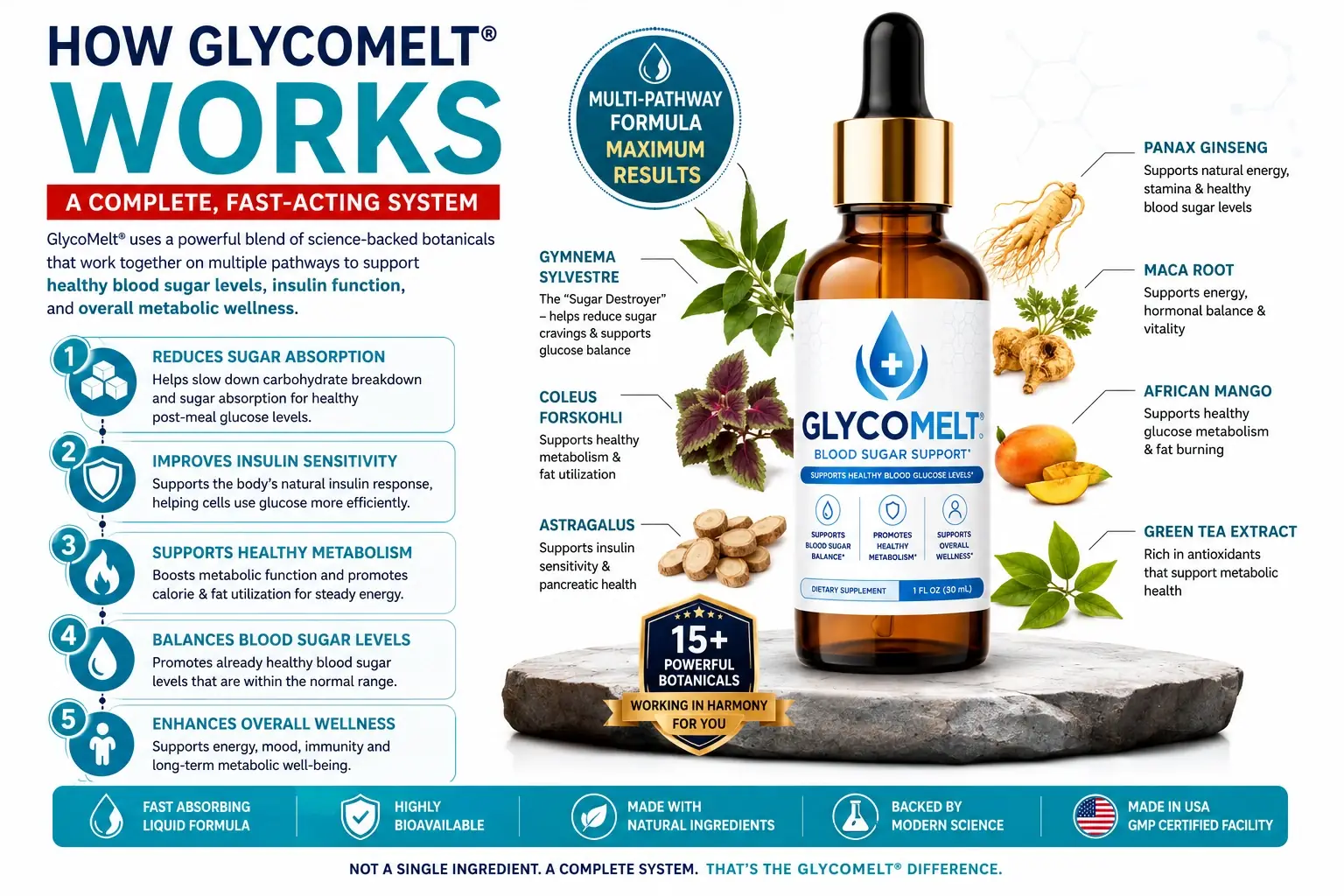 GlycoMelt How GlycoMelt Works